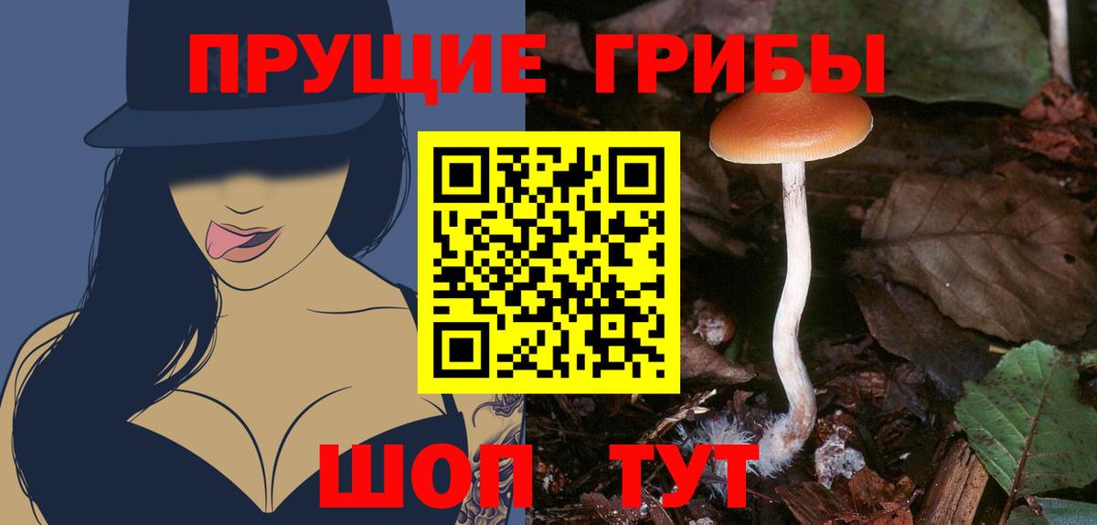 Галлюциногенные грибы Томск