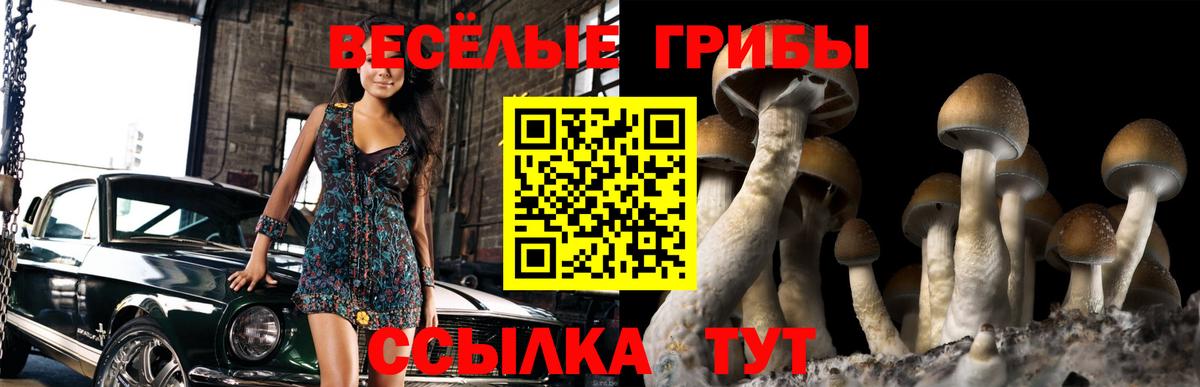 Томск  Галлюциногенные грибы мухоморы  Вход с VPN 