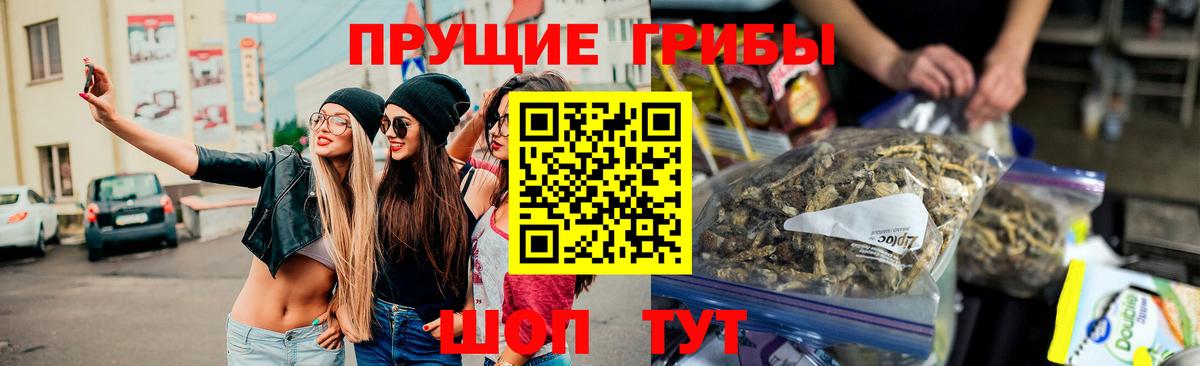 Галлюциногенные грибы мухоморы Томск
